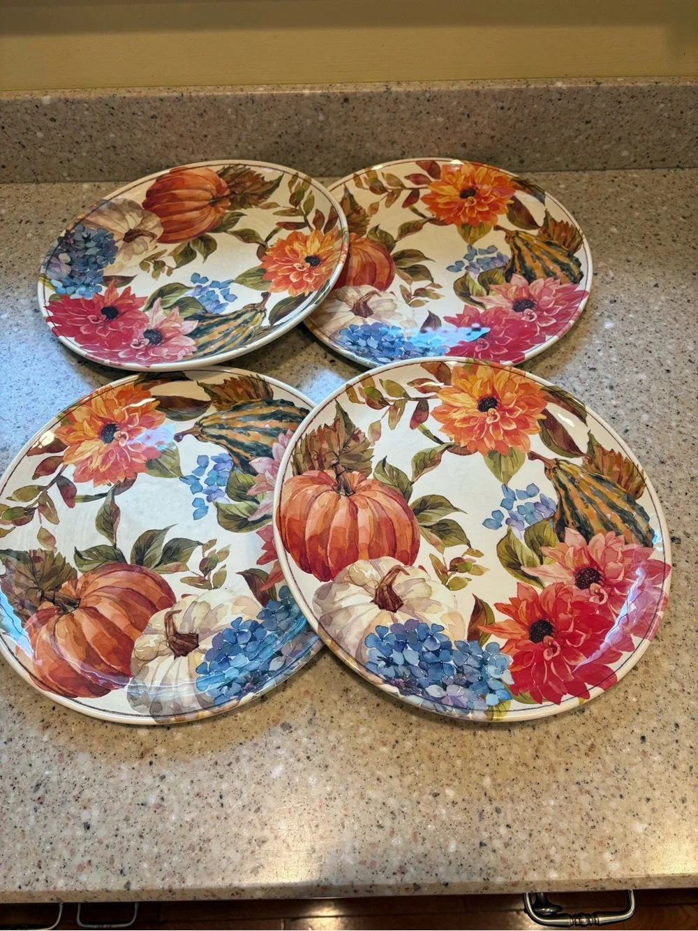 Member’s Mark Harvest Melamine Dinnerware, **Originally 4 Place Setting**
